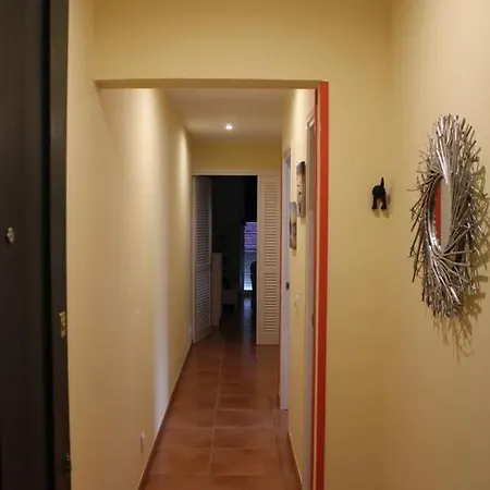 Apartment Oller Centro