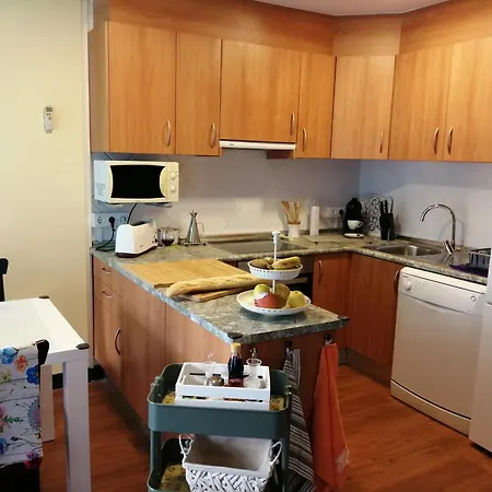 Oller Centro Apartment Roses